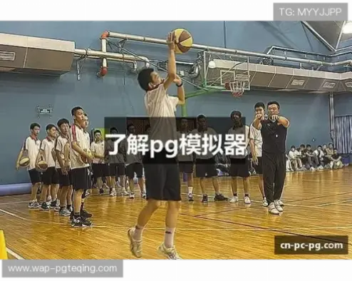 pg模拟器试玩卡顿闪退原因与解决